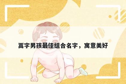 嵩字男孩最佳组合名字，寓意美...