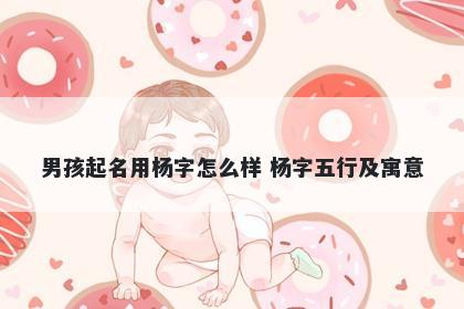 男孩起名用杨字怎么样 杨字五行...