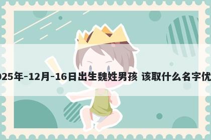 2025年-12月-16日出生魏姓男孩 该取什么名字优美