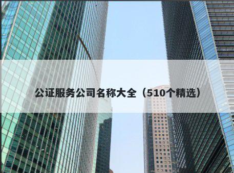公证服务公司名称大全(510个精选)