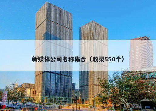 新媒体公司名称集合（收录550个...