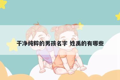 干净纯粹的男孩名字 姓禹的有哪些