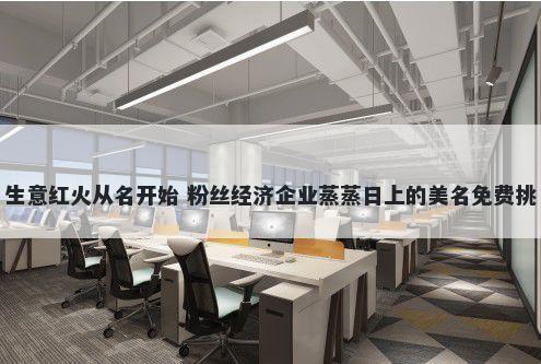 生意红火从名开始 粉丝经济企业蒸蒸日上的美名免费挑