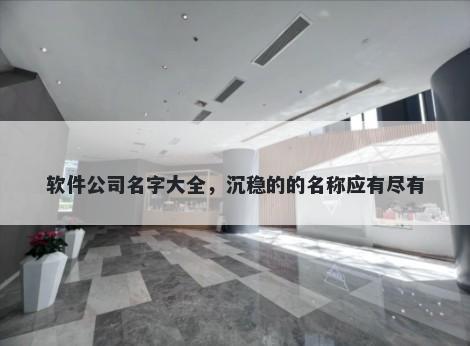软件公司名字大全,沉稳的的名称应有尽有