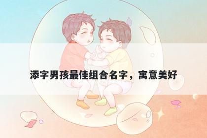 添字男孩最佳组合名字，寓意美...