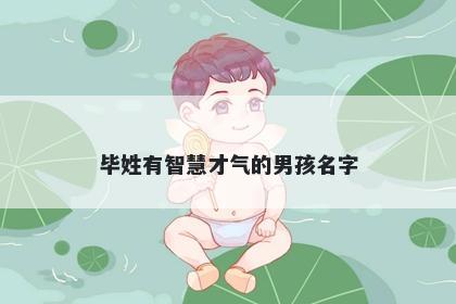 毕姓有智慧才气的男孩名字