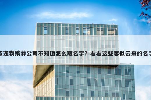 想开家宠物殡葬公司不知道怎么...