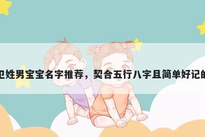 卫姓男宝宝名字推荐,契合五行八字且简单好记的