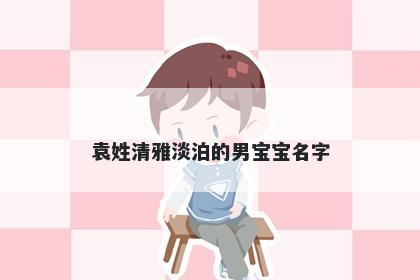 袁姓清雅淡泊的男宝宝名字