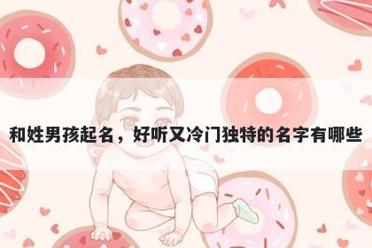 和姓男孩起名，好听又冷门独特...
