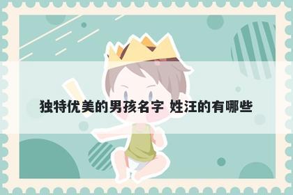 独特优美的男孩名字 姓汪的有哪些
