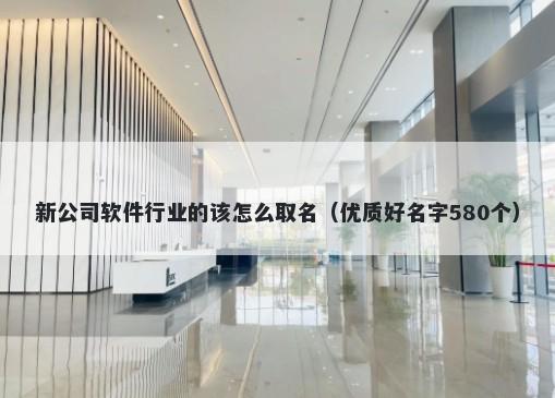 新公司软件行业的该怎么取名（优质好名字580个）