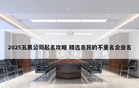 2025五黑公司起名攻略 精选亲民...