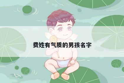 费姓有气质的男孩名字