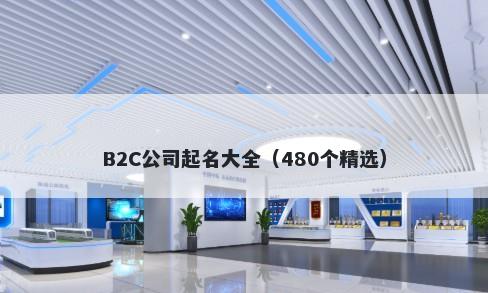B2C公司起名大全（480个精选）