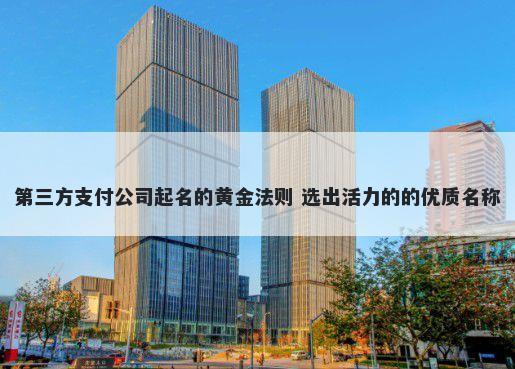第三方支付公司起名的黄金法则...