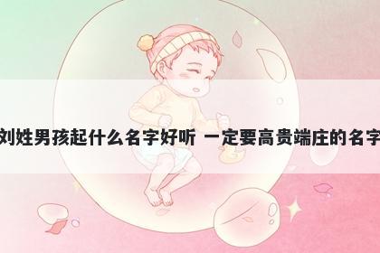 刘姓男孩起什么名字好听 一定要高贵端庄的名字