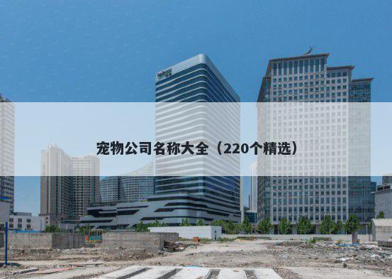 宠物公司名称大全（220个精选）