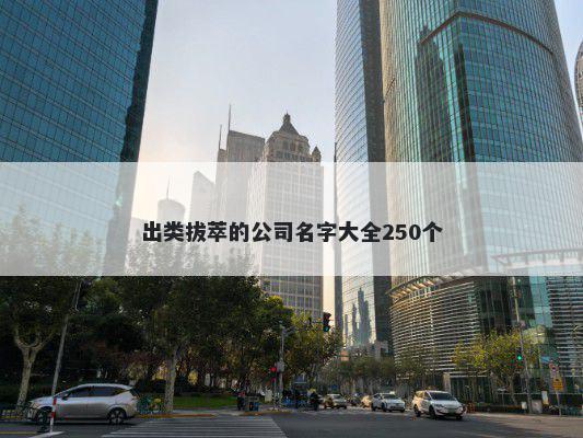 出类拔萃的公司名字大全250个