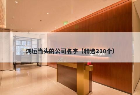 鸿运当头的公司名字（精选210个）