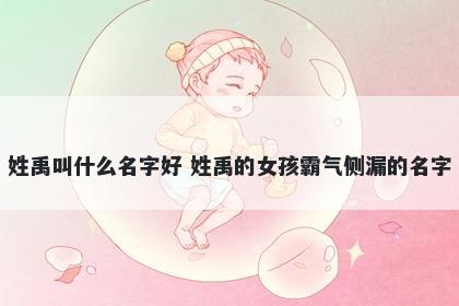 姓禹叫什么名字好 姓禹的女孩霸...
