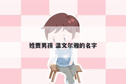 姓贾男孩 温文尔雅的名字