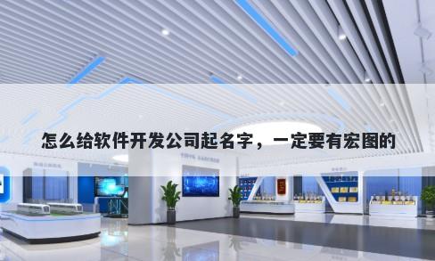 怎么给软件开发公司起名字，一定要有宏图的