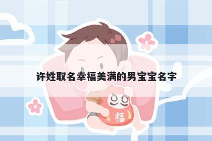 许姓取名幸福美满的男宝宝名字