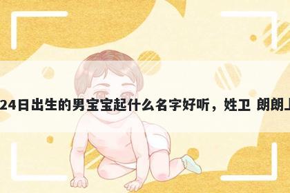 2025年-12月-24日出生的男宝宝起什么名字好听，姓卫 朗朗上口的名字推荐