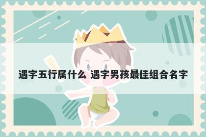 遇字五行属什么 遇字男孩最佳组合名字