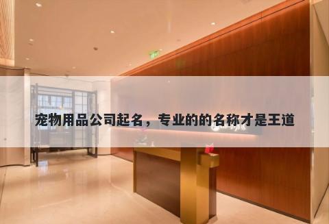 宠物用品公司起名，专业的的名称才是王道