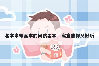 名字中带嵩字的男孩名字，寓意吉祥又好听