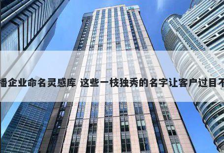 直播企业命名灵感库 这些一枝独秀的名字让客户过目不忘