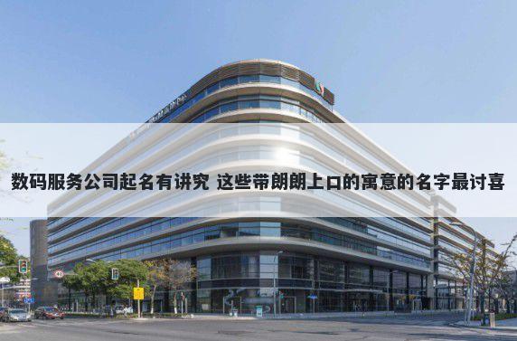 数码服务公司起名有讲究 这些带朗朗上口的寓意的名字最讨喜