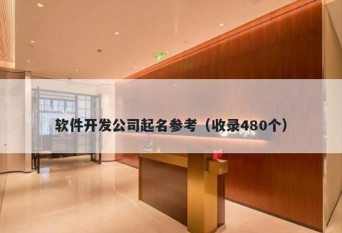 软件开发公司起名参考（收录480个）