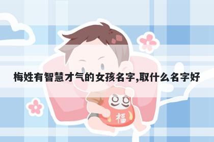 梅姓有智慧才气的女孩名字,取什么名字好
