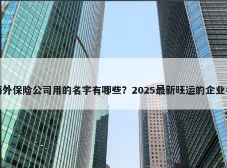 适合海外保险公司用的名字有哪些？2025最新旺运的企业名解析