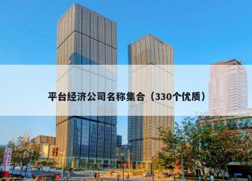 平台经济公司名称集合（330个优质）