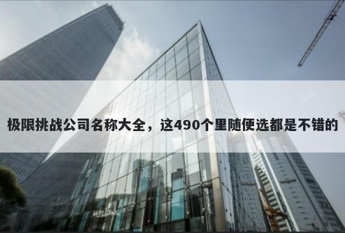 极限挑战公司名称大全，这490个里随便选都是不错的