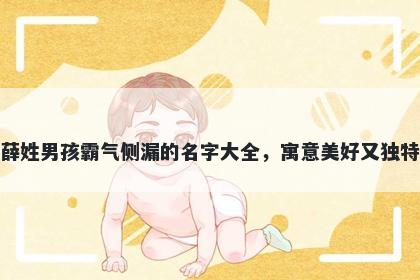 薛姓男孩霸气侧漏的名字大全，寓意美好又独特