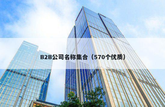 B2B公司名称集合（570个优质）