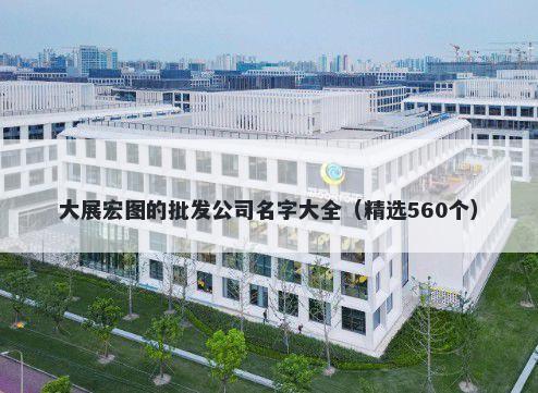 大展宏图的批发公司名字大全（...