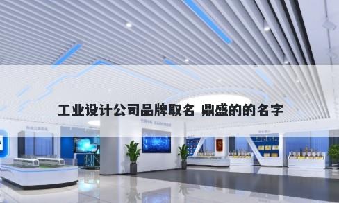 工业设计公司品牌取名 鼎盛的的名字