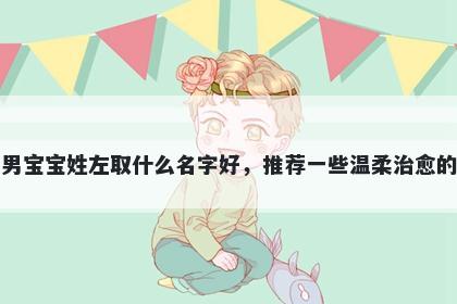 刚出生的男宝宝姓左取什么名字好，推荐一些温柔治愈的男孩名字