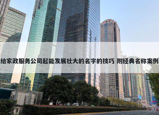 给家政服务公司起能发展壮大的名字的技巧 附经典名称案例