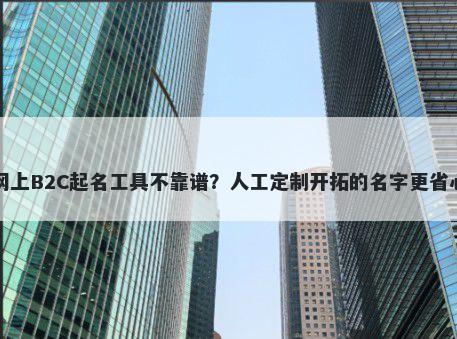 网上B2C起名工具不靠谱？人工定制开拓的名字更省心