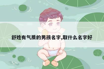 舒姓有气质的男孩名字,取什么名字好