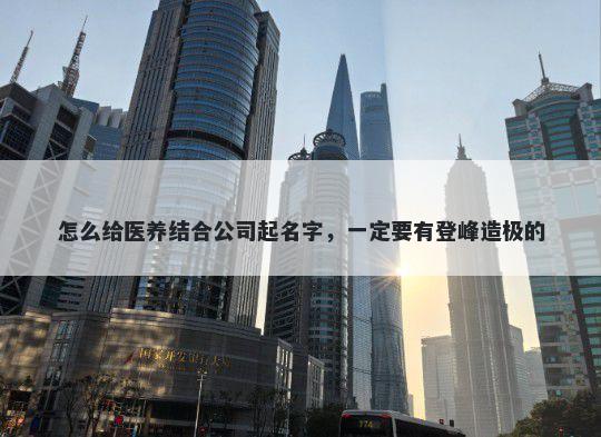 怎么给医养结合公司起名字，一定要有登峰造极的