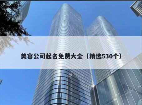 美容公司起名免费大全（精选530个）