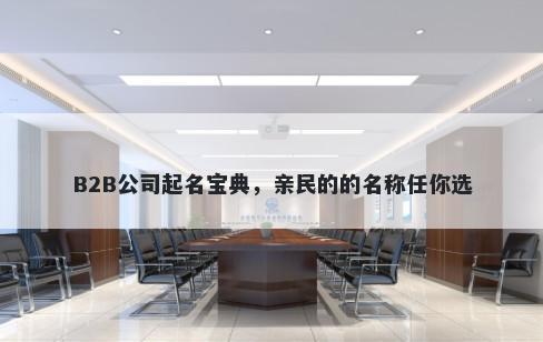 B2B公司起名宝典，亲民的的名称任你选